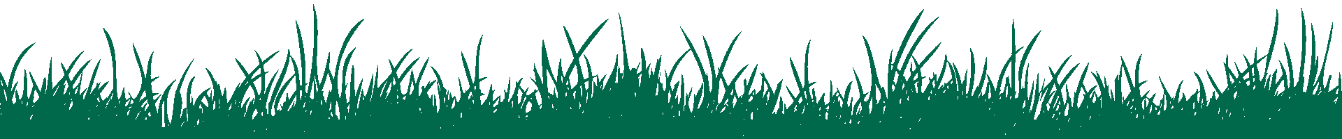 Grüne Wiese